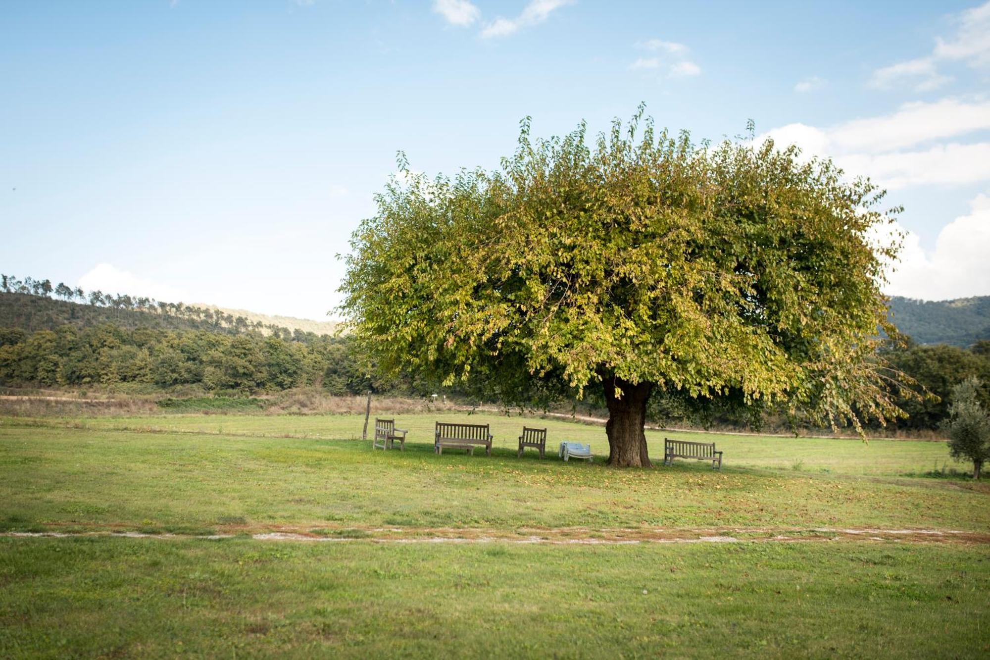 Agri Relais Il Poderaccio Di Bolsena Ngoại thất bức ảnh