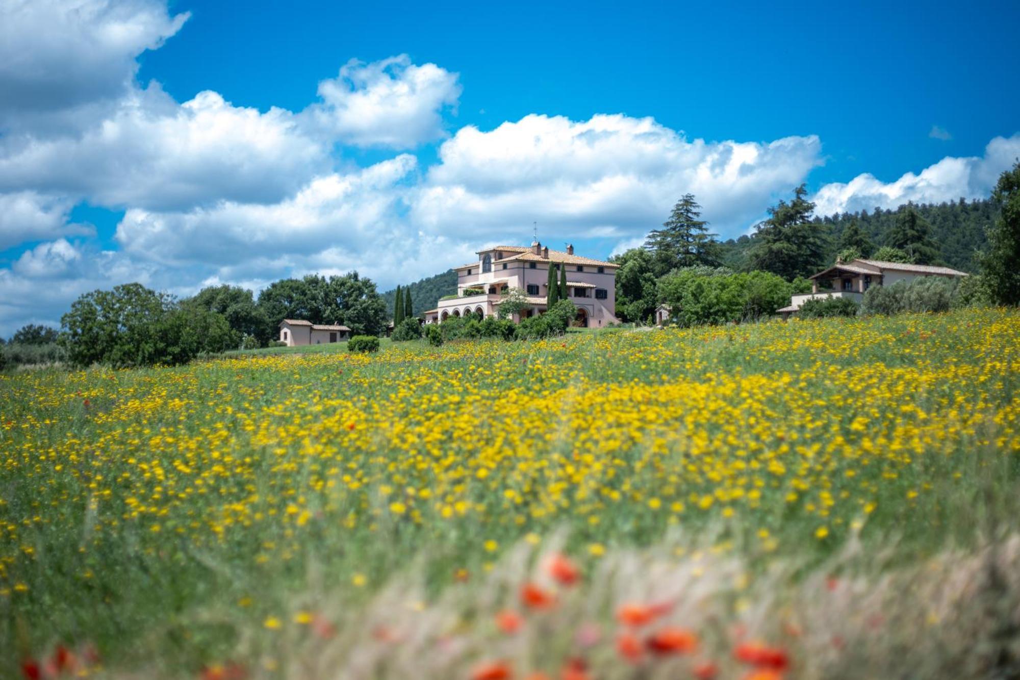 Agri Relais Il Poderaccio Di Bolsena Ngoại thất bức ảnh