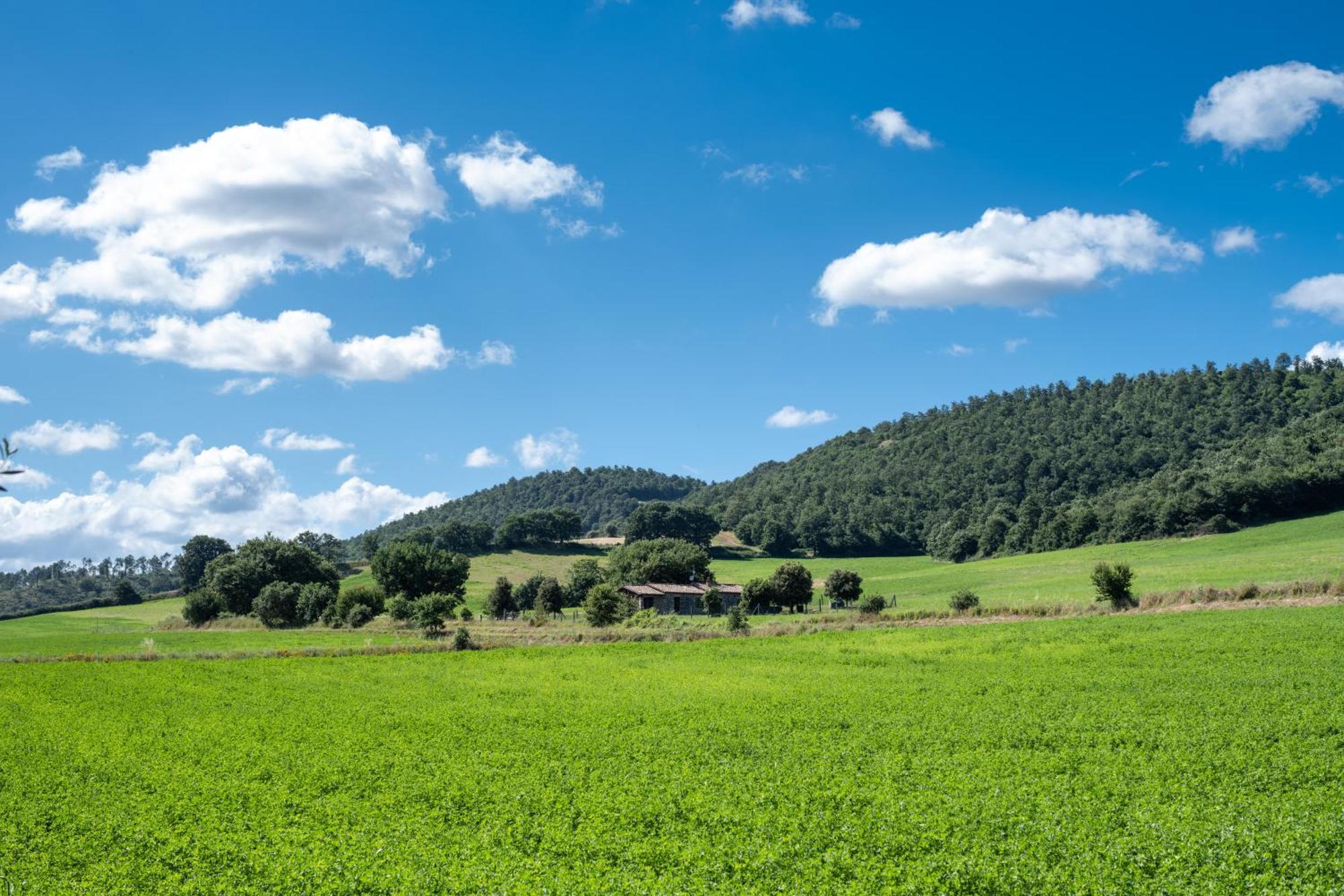 Agri Relais Il Poderaccio Di Bolsena Ngoại thất bức ảnh