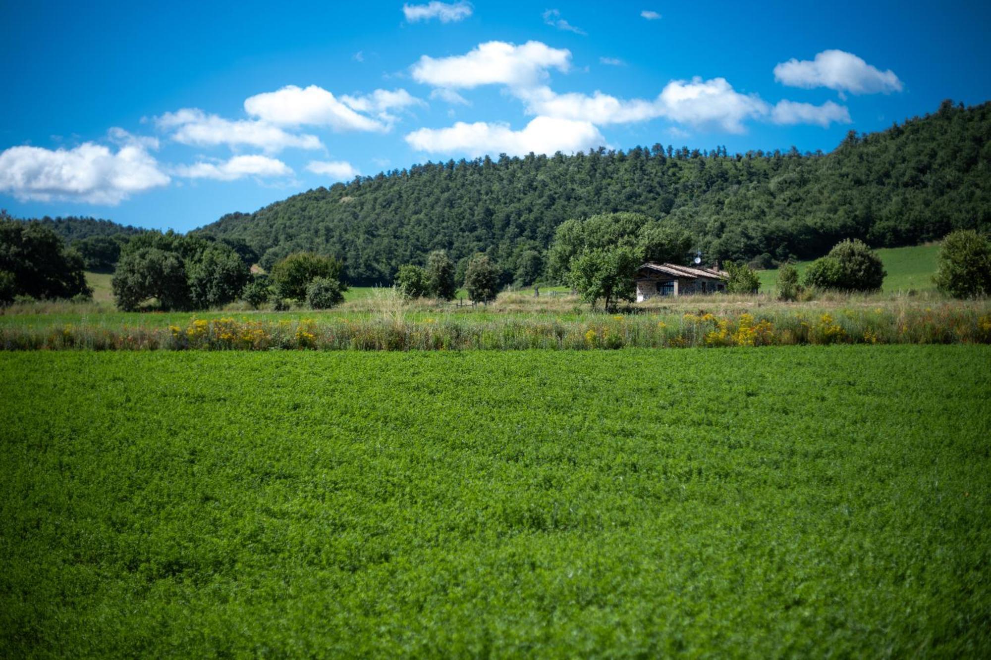 Agri Relais Il Poderaccio Di Bolsena Ngoại thất bức ảnh