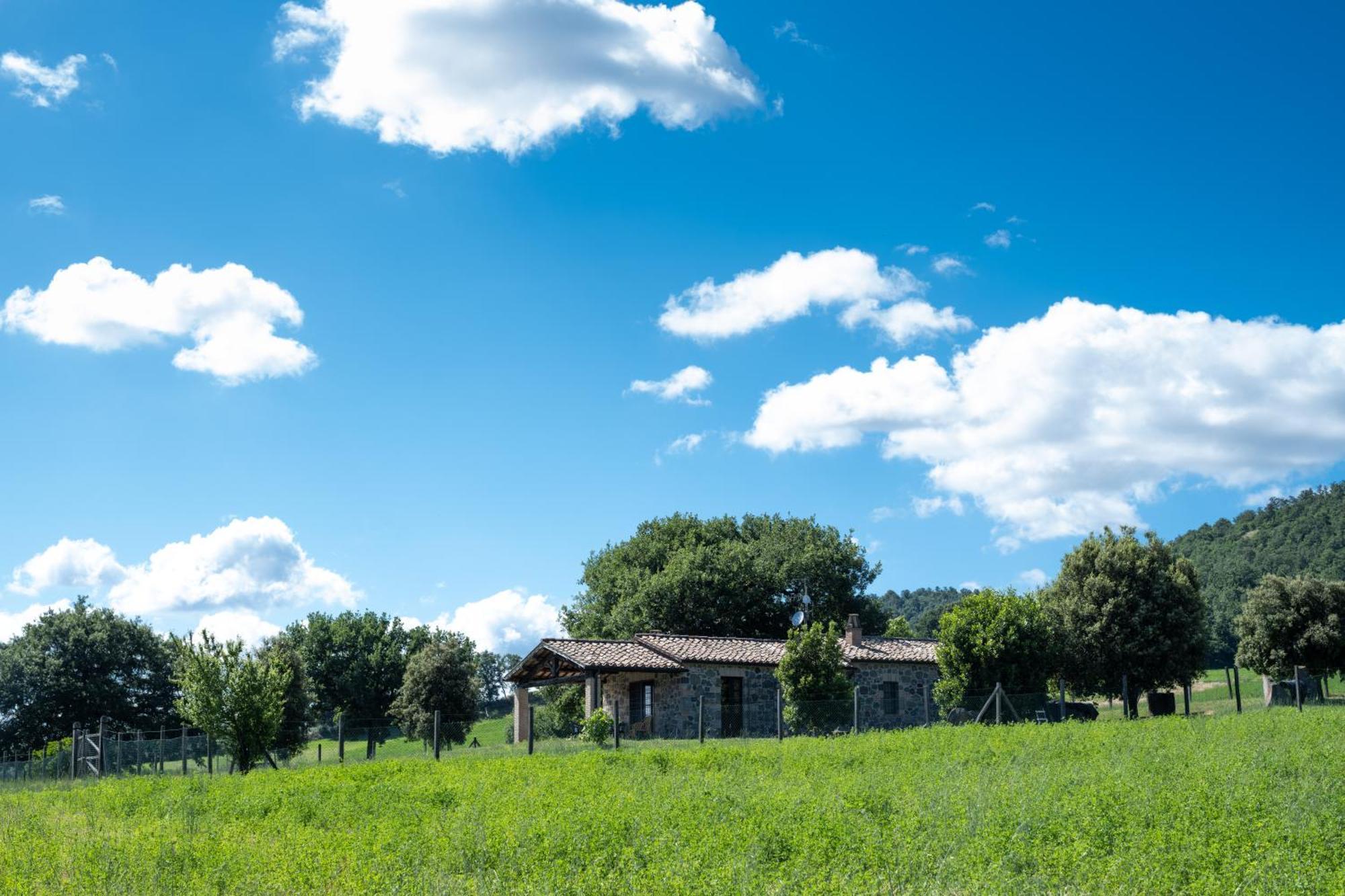 Agri Relais Il Poderaccio Di Bolsena Ngoại thất bức ảnh