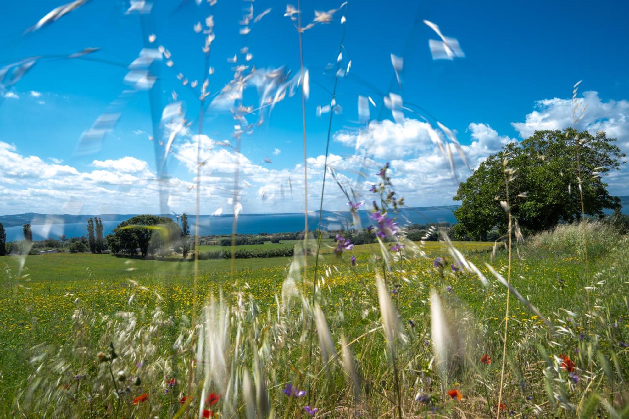 Agri Relais Il Poderaccio Di Bolsena Ngoại thất bức ảnh