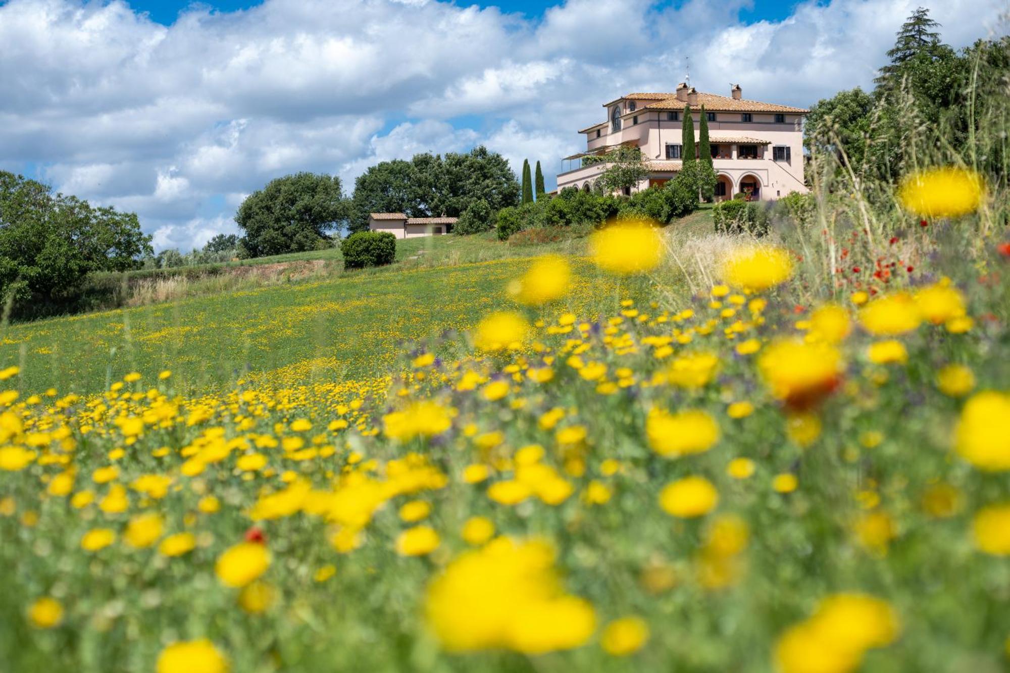 Agri Relais Il Poderaccio Di Bolsena Ngoại thất bức ảnh