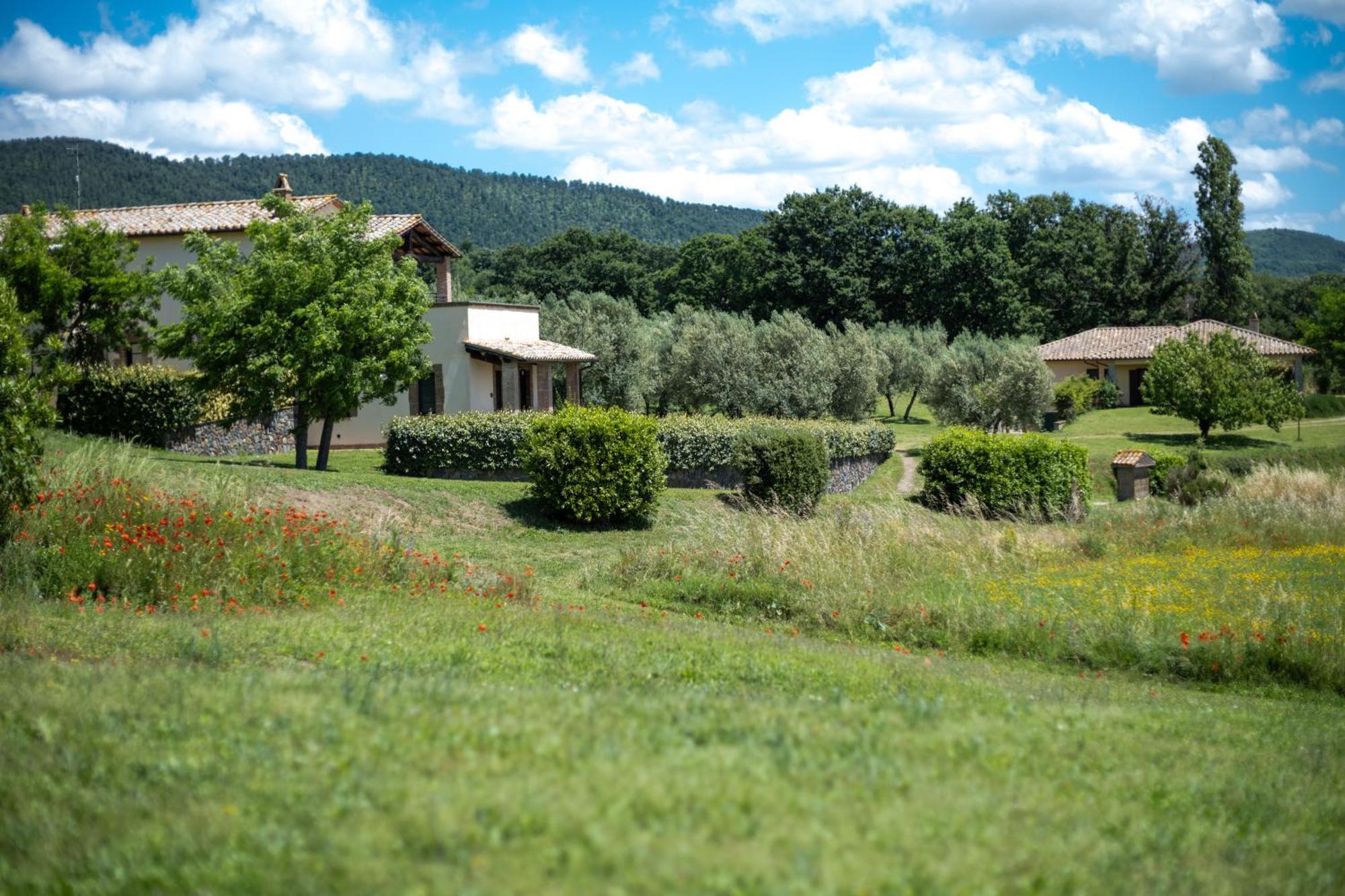 Agri Relais Il Poderaccio Di Bolsena Ngoại thất bức ảnh