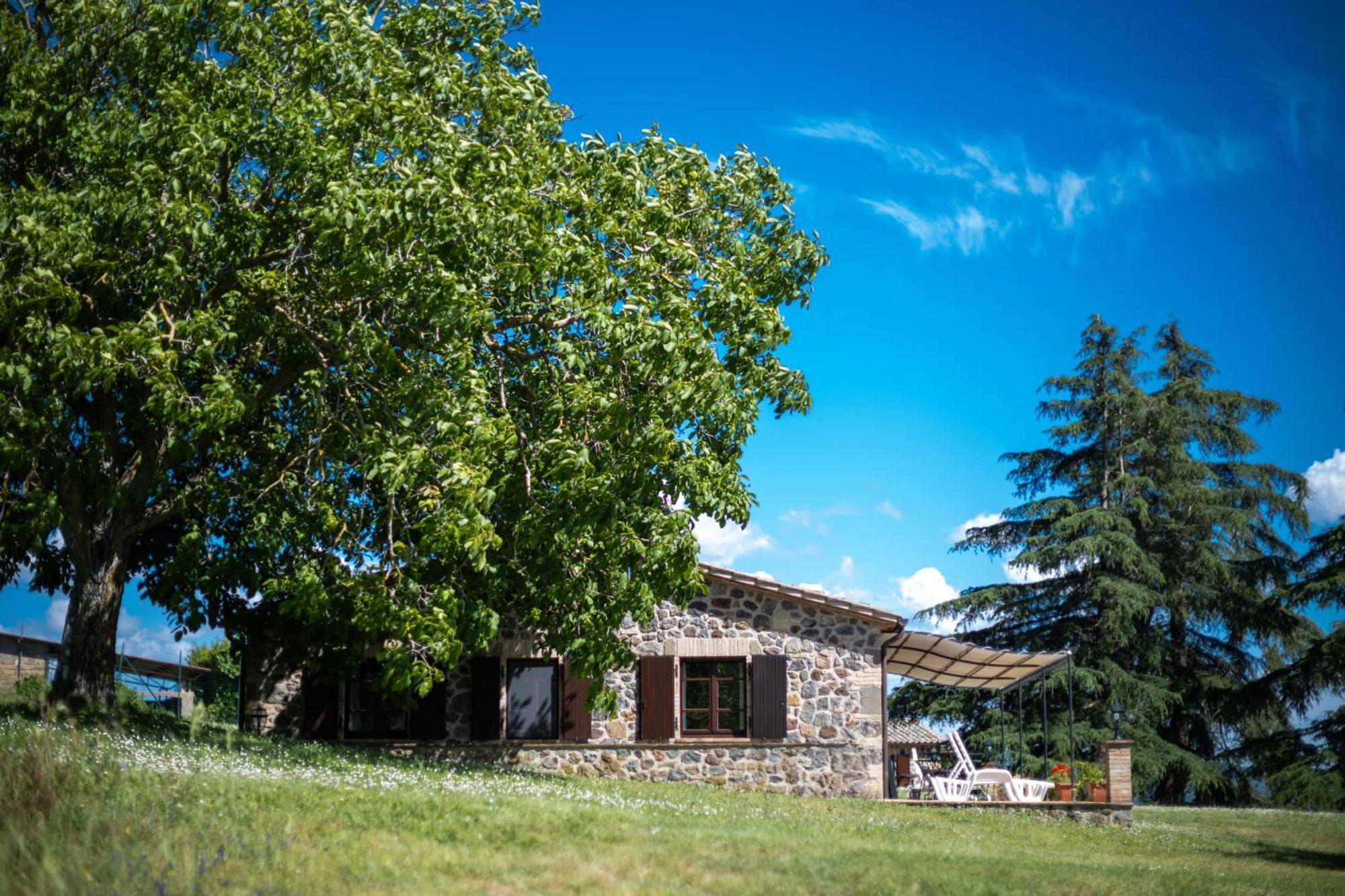 Agri Relais Il Poderaccio Di Bolsena Ngoại thất bức ảnh
